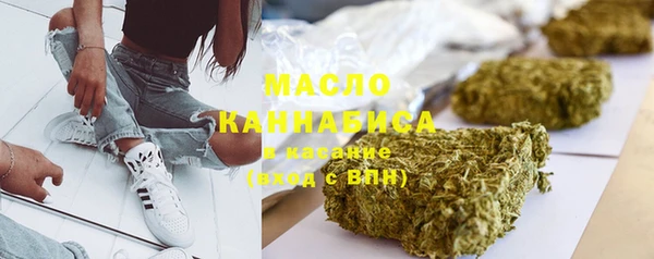 ГАЛЛЮЦИНОГЕННЫЕ ГРИБЫ Дмитриев