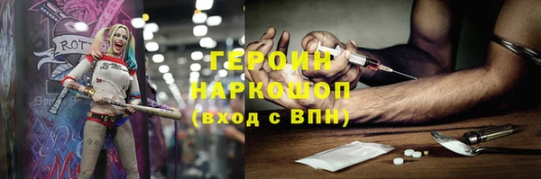 ГАЛЛЮЦИНОГЕННЫЕ ГРИБЫ Дмитриев