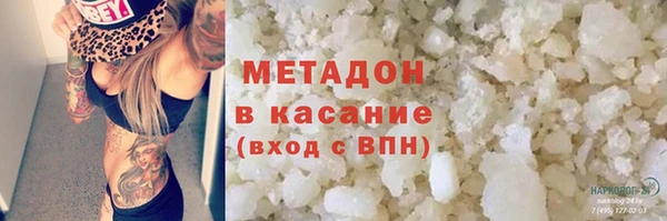 ГАЛЛЮЦИНОГЕННЫЕ ГРИБЫ Дмитриев