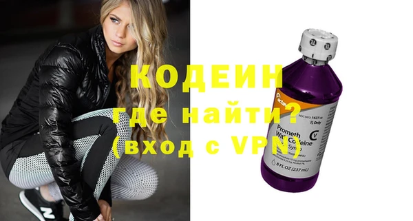 ГАЛЛЮЦИНОГЕННЫЕ ГРИБЫ Дмитриев
