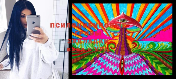 ГАЛЛЮЦИНОГЕННЫЕ ГРИБЫ Дмитриев