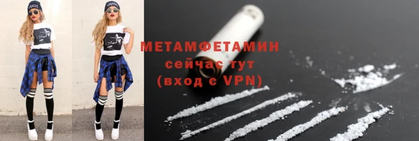 ГАЛЛЮЦИНОГЕННЫЕ ГРИБЫ Дмитриев