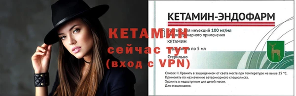 ГАЛЛЮЦИНОГЕННЫЕ ГРИБЫ Дмитриев