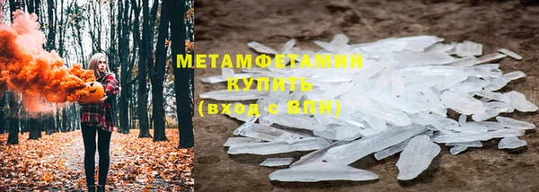 ГАЛЛЮЦИНОГЕННЫЕ ГРИБЫ Дмитриев