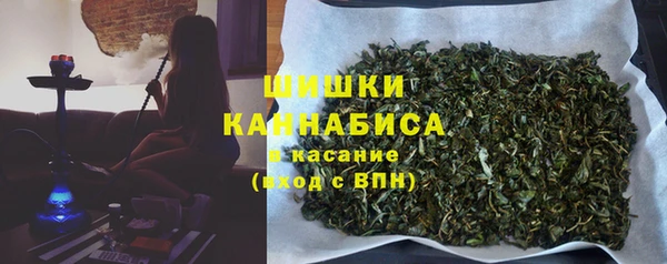 ГАЛЛЮЦИНОГЕННЫЕ ГРИБЫ Дмитриев