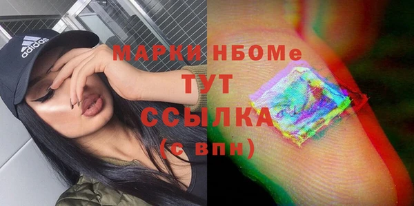 ГАЛЛЮЦИНОГЕННЫЕ ГРИБЫ Дмитриев