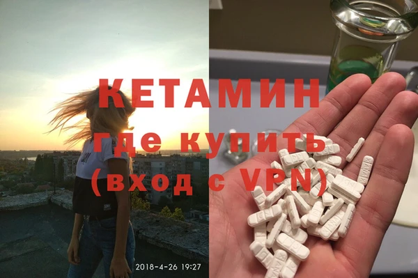ГАЛЛЮЦИНОГЕННЫЕ ГРИБЫ Дмитриев