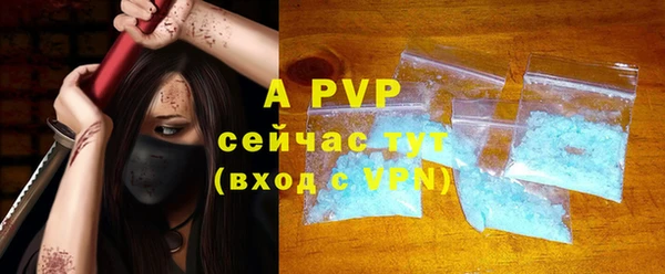 ГАЛЛЮЦИНОГЕННЫЕ ГРИБЫ Дмитриев