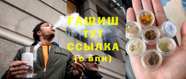 ГАЛЛЮЦИНОГЕННЫЕ ГРИБЫ Дмитриев