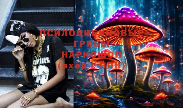 ГАЛЛЮЦИНОГЕННЫЕ ГРИБЫ Дмитриев