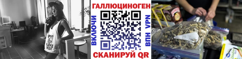 Галлюциногенные грибы Psilocybe  Купить  Первоуральск 